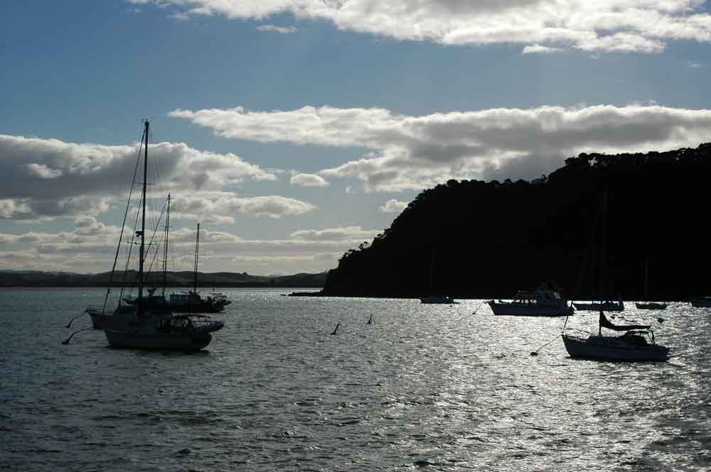 28 - Nueva Zelanda - Bay of Islands, paisaje